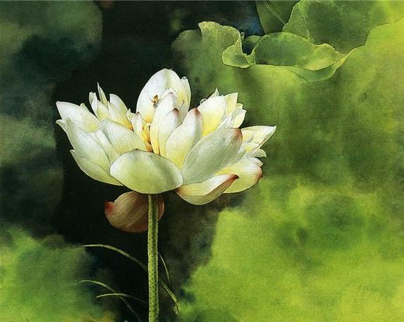 Lonly lotus flower tattoo