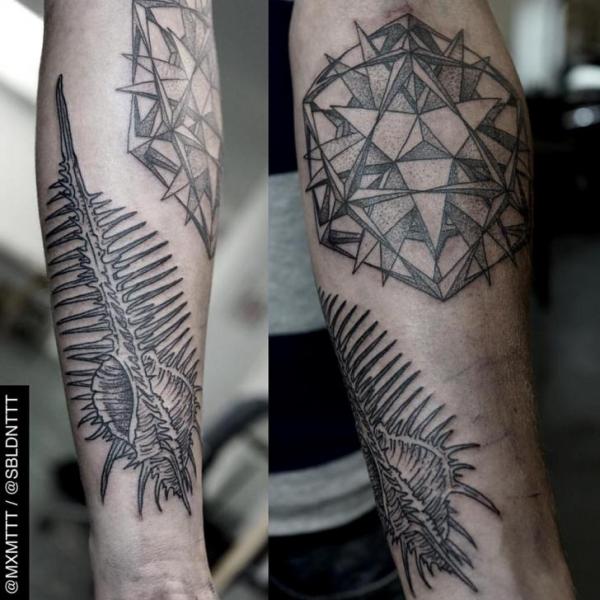 Ribbed Shell Dotwork tattoo by MXM