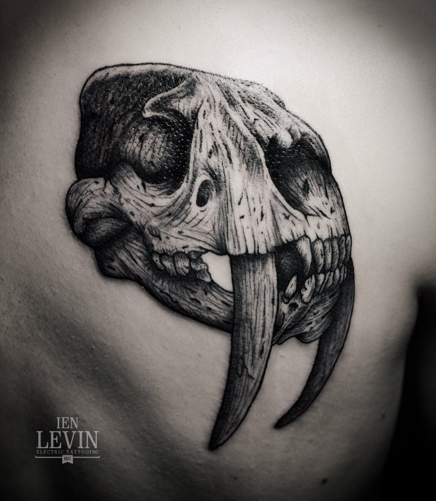 Saber Teeth Scull tattoo by Ien Levin