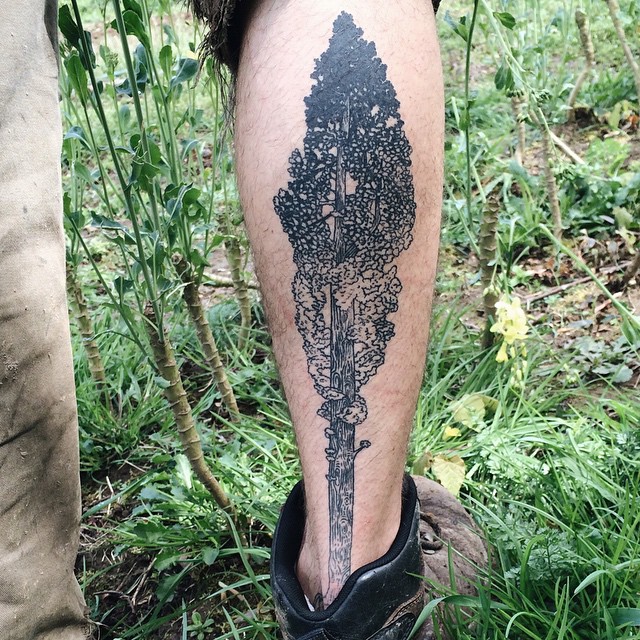 Dotwork Tall Tree Heel to Ankle