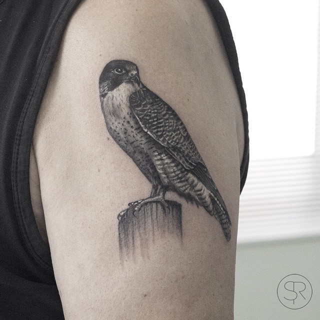 Realistic Falcon tattoo on Shoulder