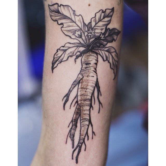 Little Mandrake Tattoo