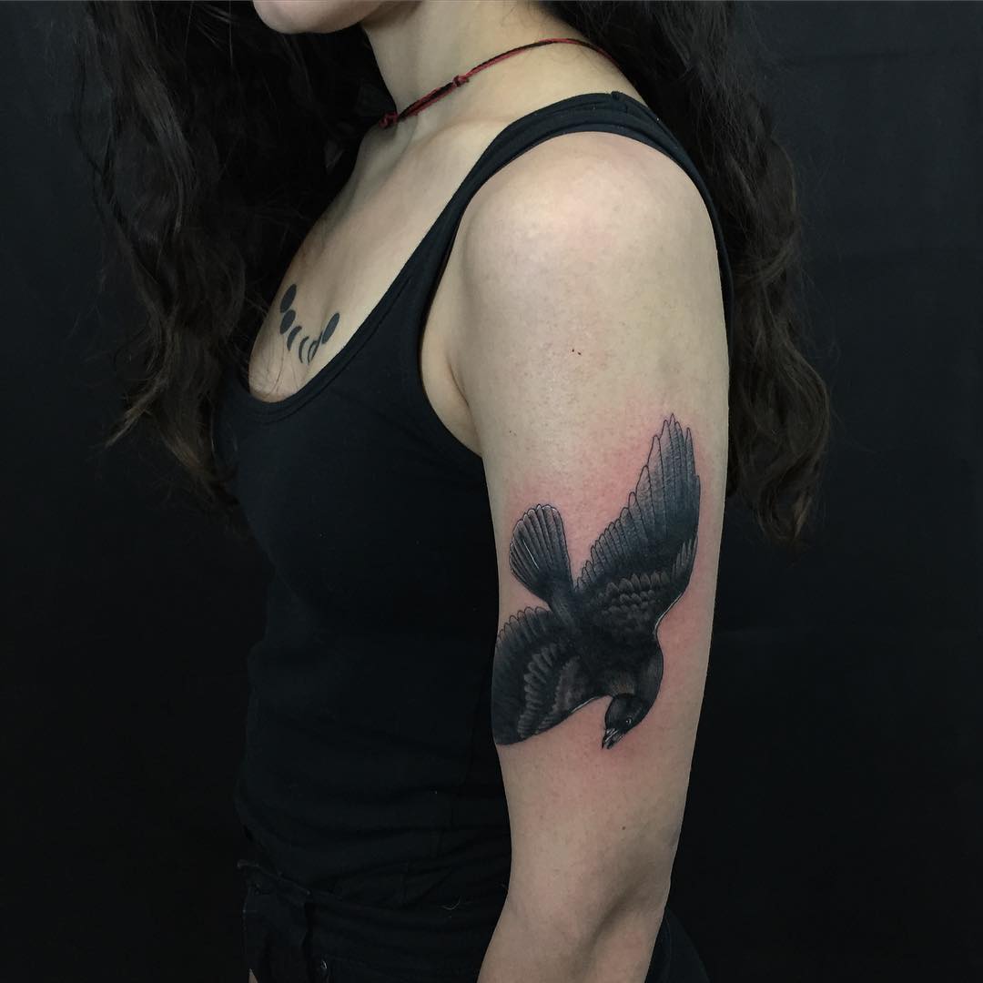 Black Bird Shoulder Tattoo