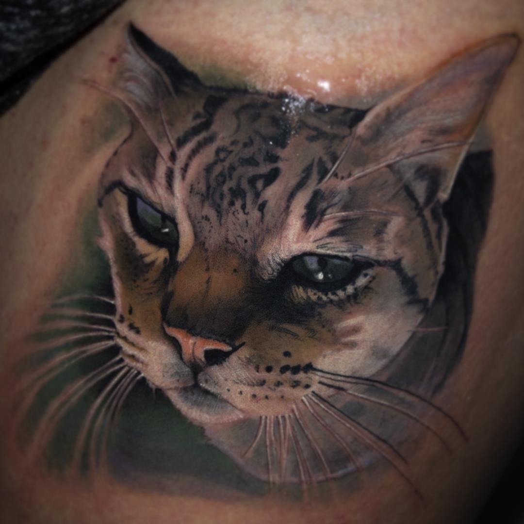 Realistic Cat Head Tattoo