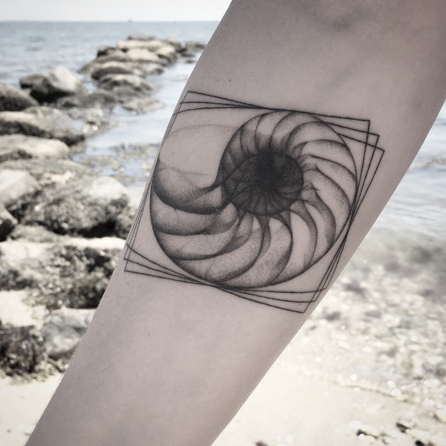 X-Ray Nautilus Shell Tattoo