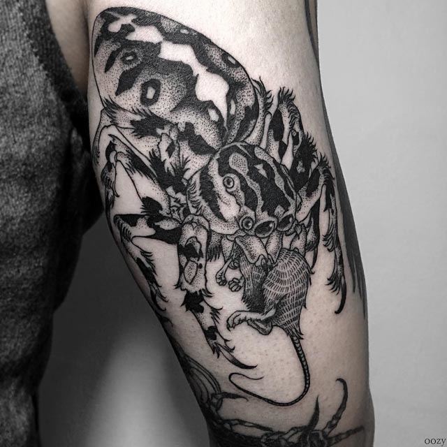 spider tattoo on arm