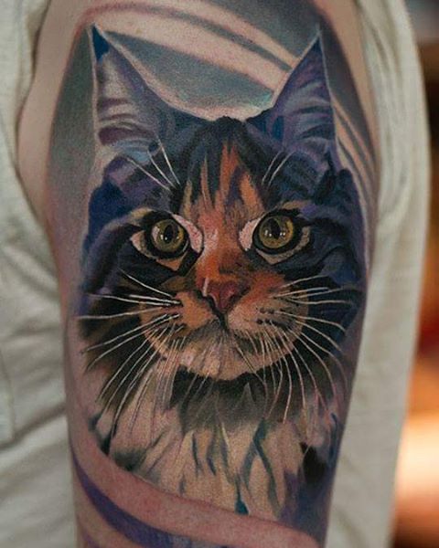 cat portrait by Al Minz