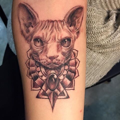Tattoo Sphynx Cat by @inkpacker