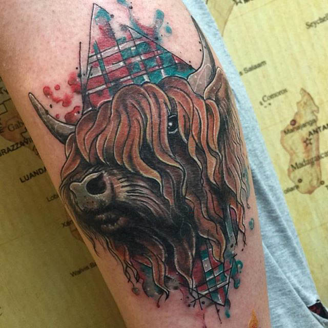 Scottish Tattoo Buffalo by Clare La-La Lambert