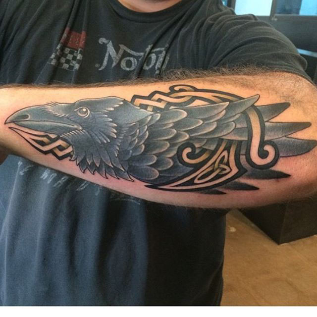 Celtic Raven Tattoo on Forearm by Jason Anthony