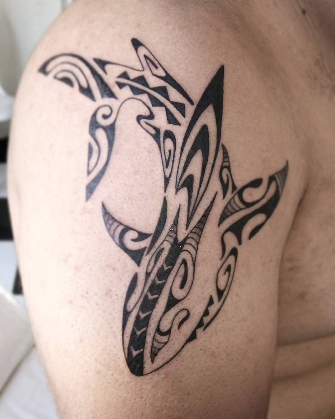 Shark Maori Tattoo by Mario Okbcatattoo