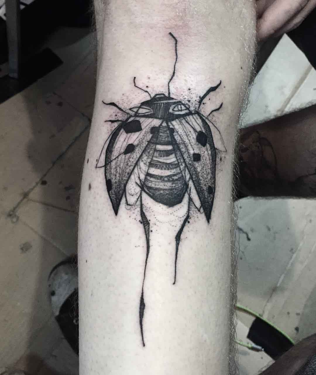 sketchy graphic tattoo ladybug