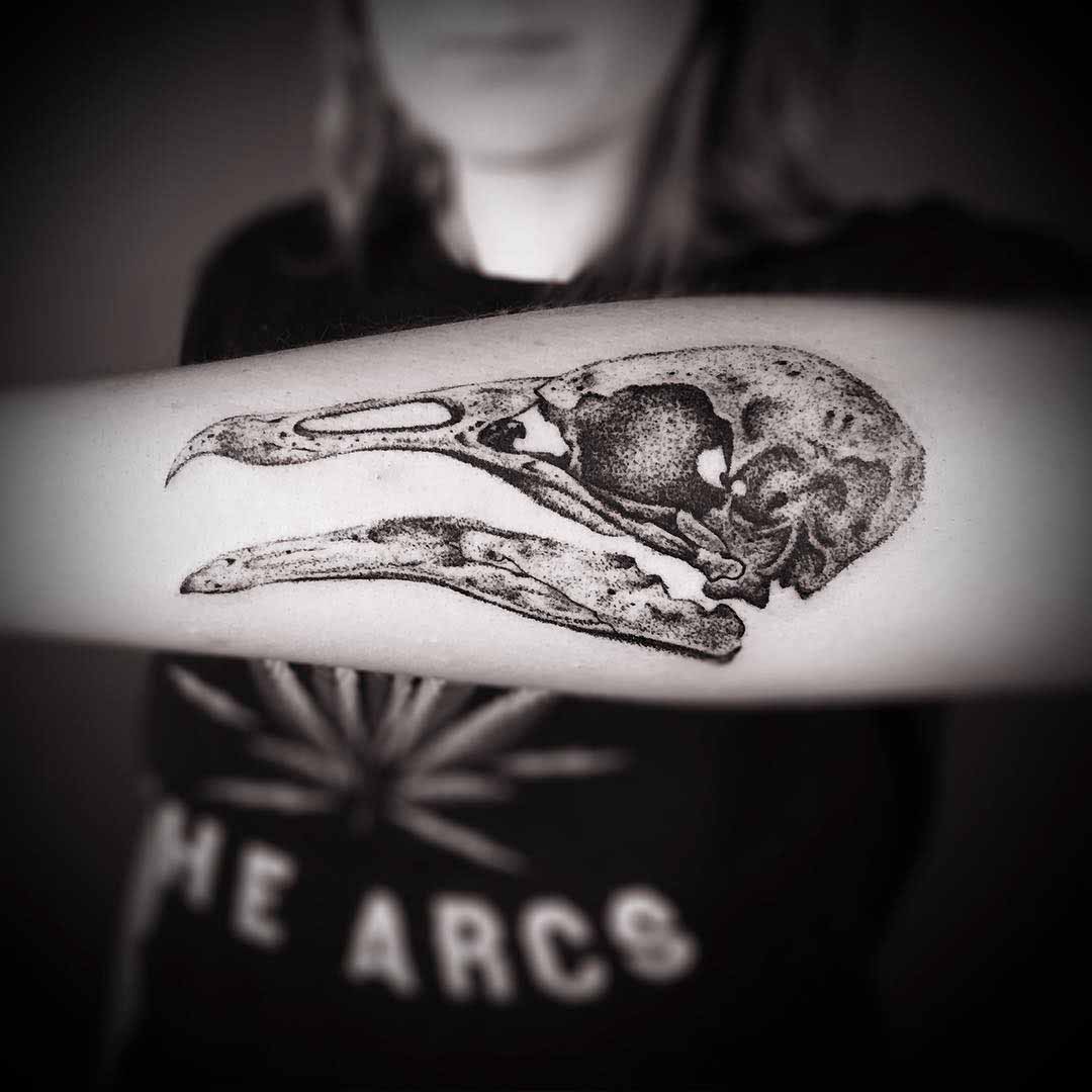 forearm tattoo skull of the bird