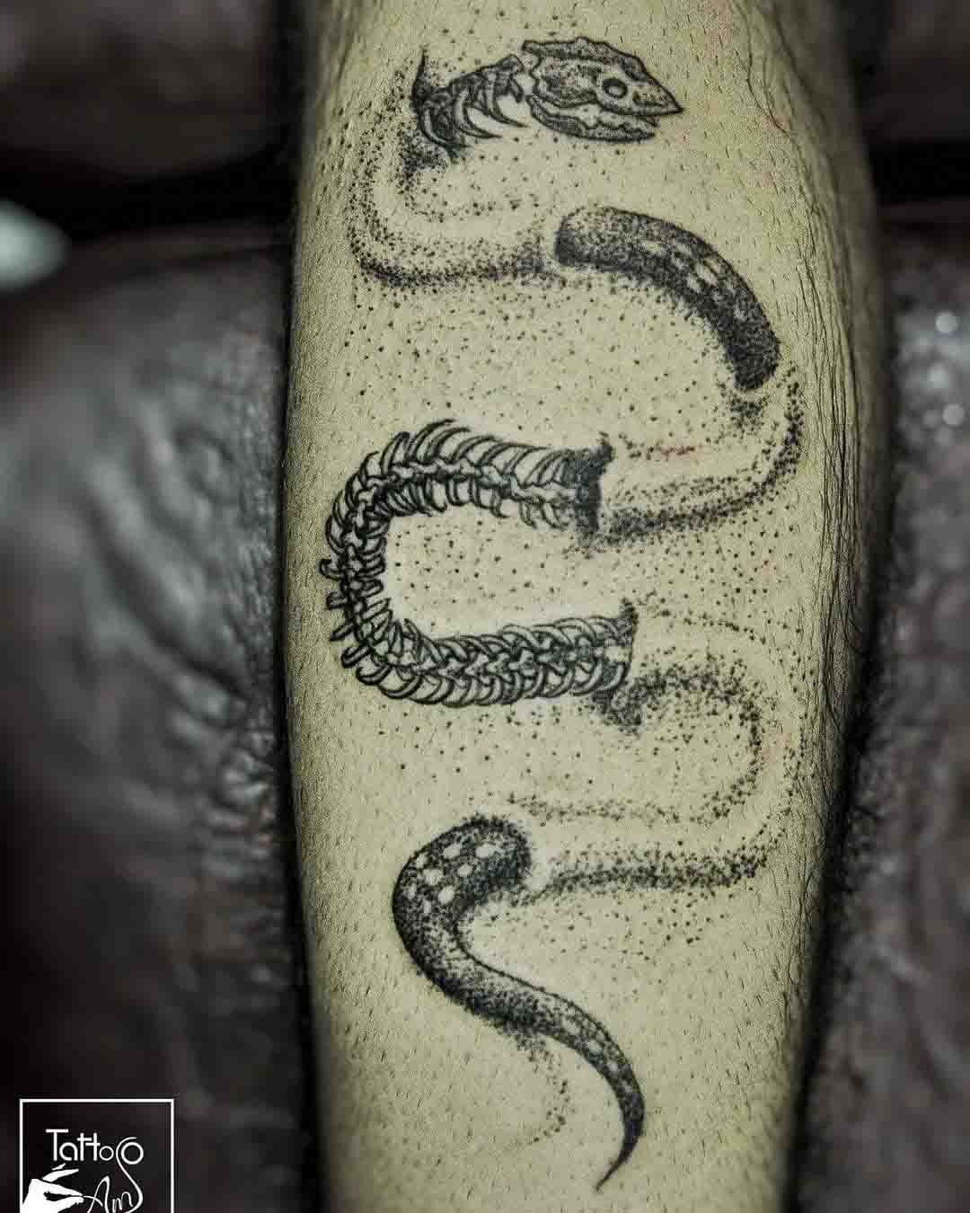 dotwork tattoo snake skeleton calf tattoo
