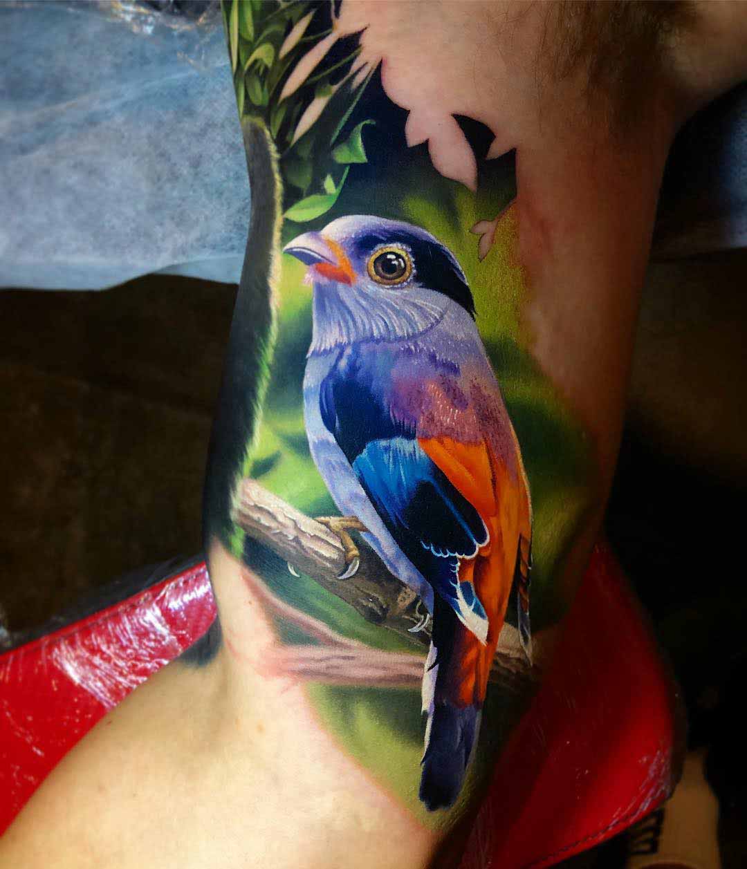 bird tattoo silver-breasted broadbill